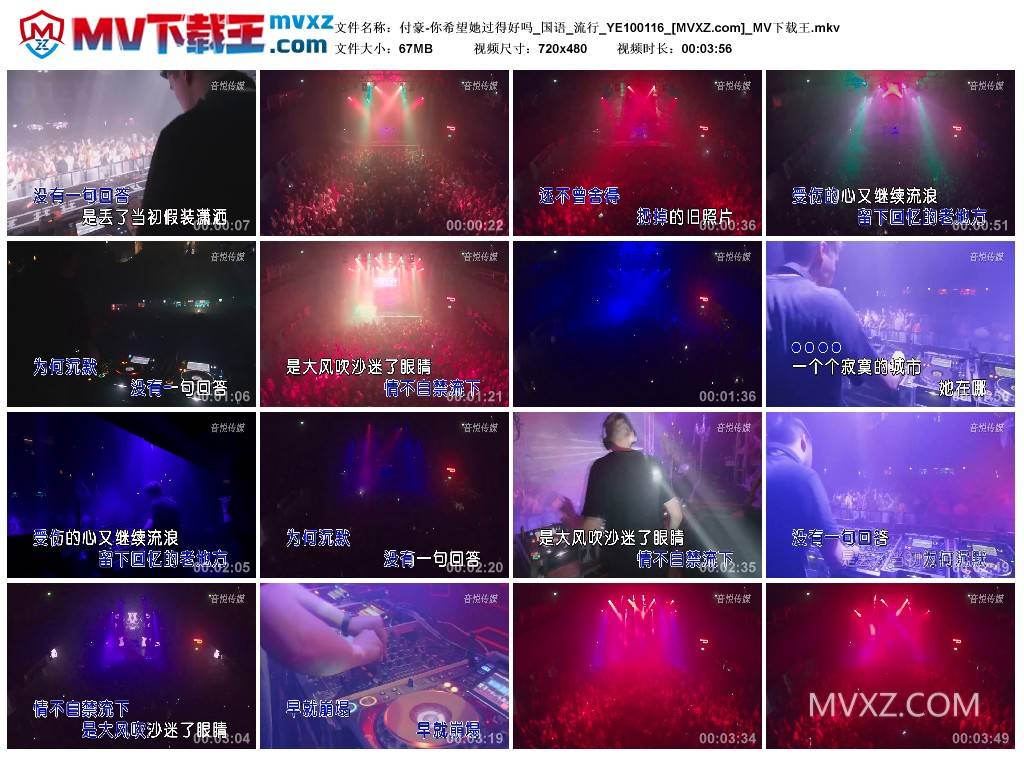 付豪-你希望她过得好吗_国语_流行_YE100116